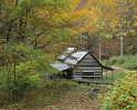 Nature_067