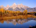 Nature_069