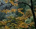 Nature_076
