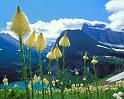 Nature_077