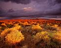 Nature_081