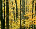 Nature_087