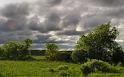 Nature_103