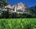 Nature_104