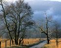 Nature_105