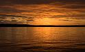 Nature_107