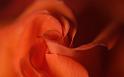 Nature_109