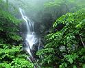 Nature_117