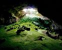 Nature_118
