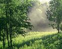 Nature_119
