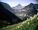 Nature_124