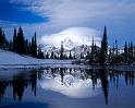 Nature_125