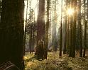 Nature_126