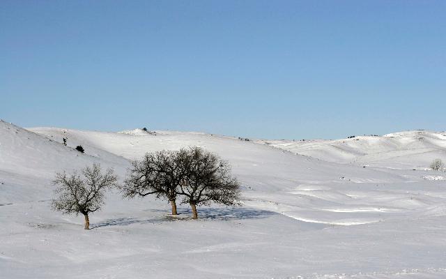 Paysages_596.jpg