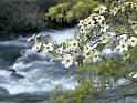 Paysages_002