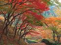 Paysages_007