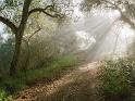 Paysages_008
