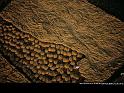 Paysages_029