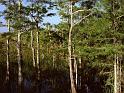 Paysages_031