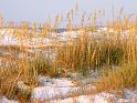 Paysages_041