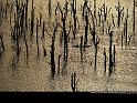 Paysages_050