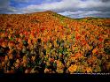 Paysages_056