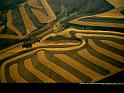 Paysages_085