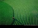 Paysages_088