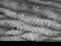 Paysages_099