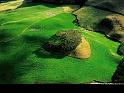 Paysages_101