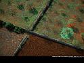 Paysages_102
