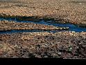 Paysages_104