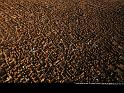 Paysages_107