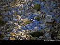 Paysages_126