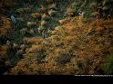 Paysages_134