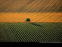 Paysages_143