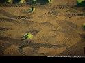 Paysages_145