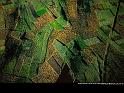 Paysages_156