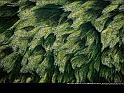 Paysages_160