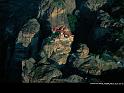 Paysages_161