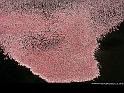 Paysages_170