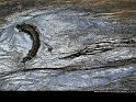 Paysages_184