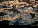 Paysages_209