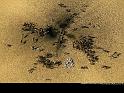 Paysages_220