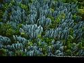 Paysages_225