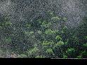 Paysages_226