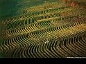 Paysages_228