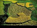 Paysages_230