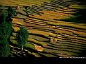 Paysages_243