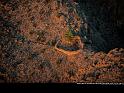 Paysages_260